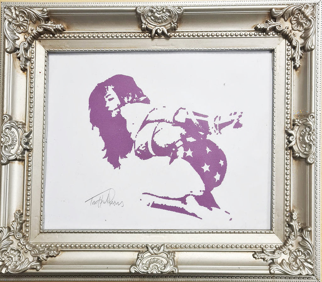 wonder woman 25 x 34 cm framed purple  silver frame