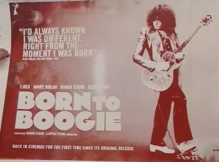 „Born To Boogie“ XL-Studiobeweise 