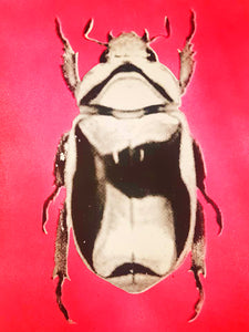 Beetles - studio proofs . 5 colour ways
