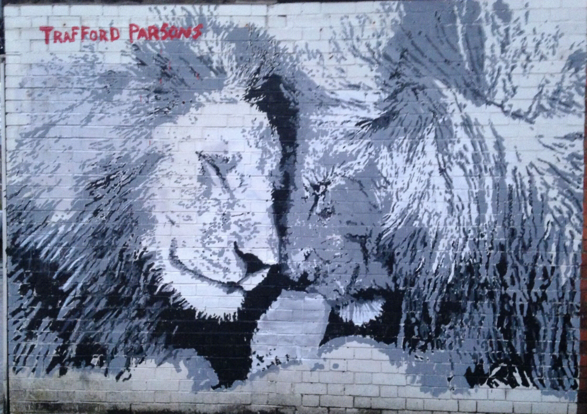 "Pride" Lions painted on Burton Rd, Manchester